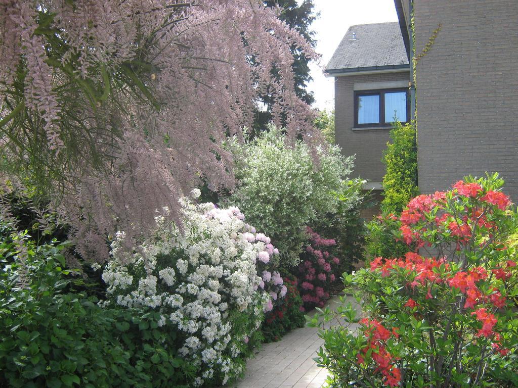 Prince D'Orange Bed & Breakfast Braine-lʼAlleud Exteriör bild